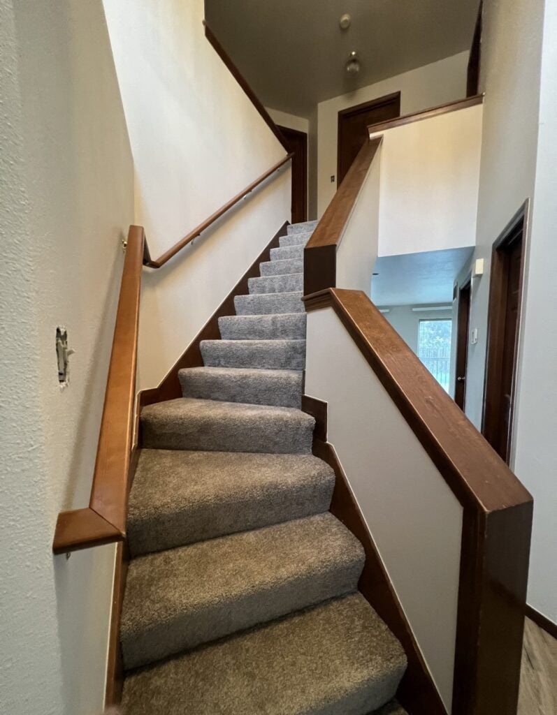 a staircase with carpeted stairs