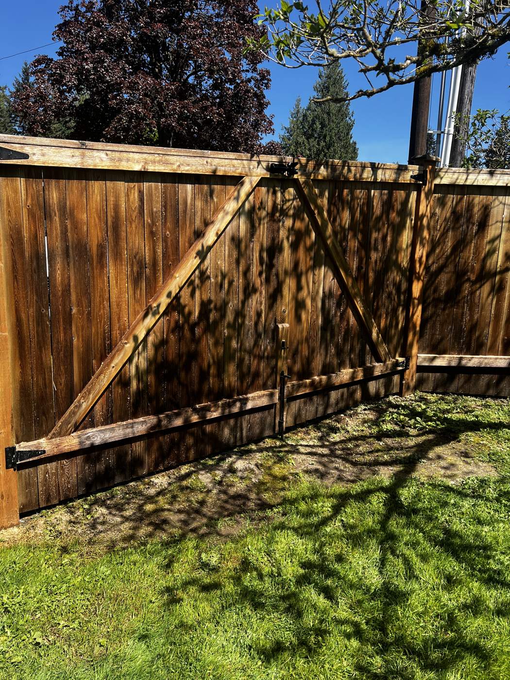 Fence and gate stained a rich cedar tone