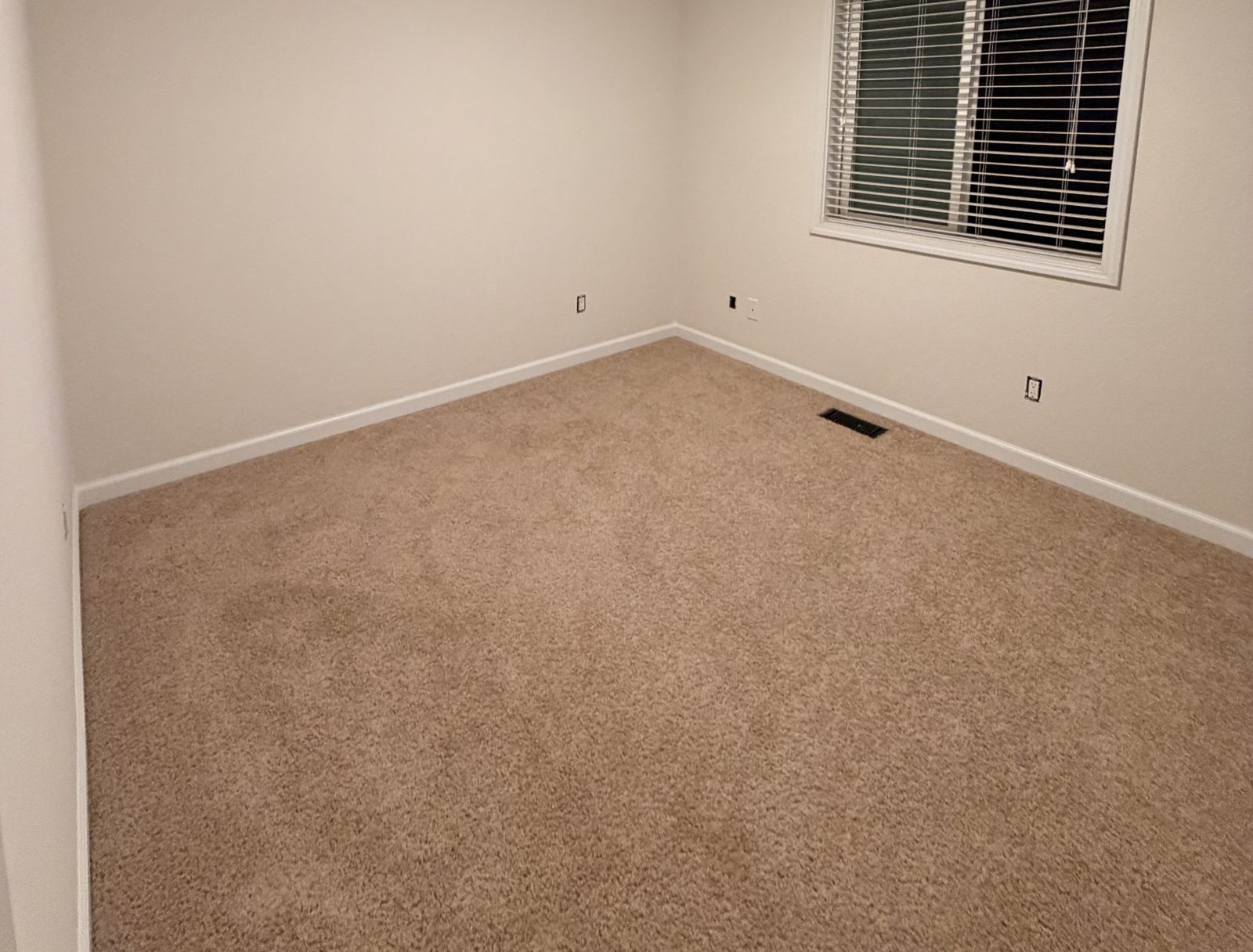 Bedroom with crisp white baseboards and window trim