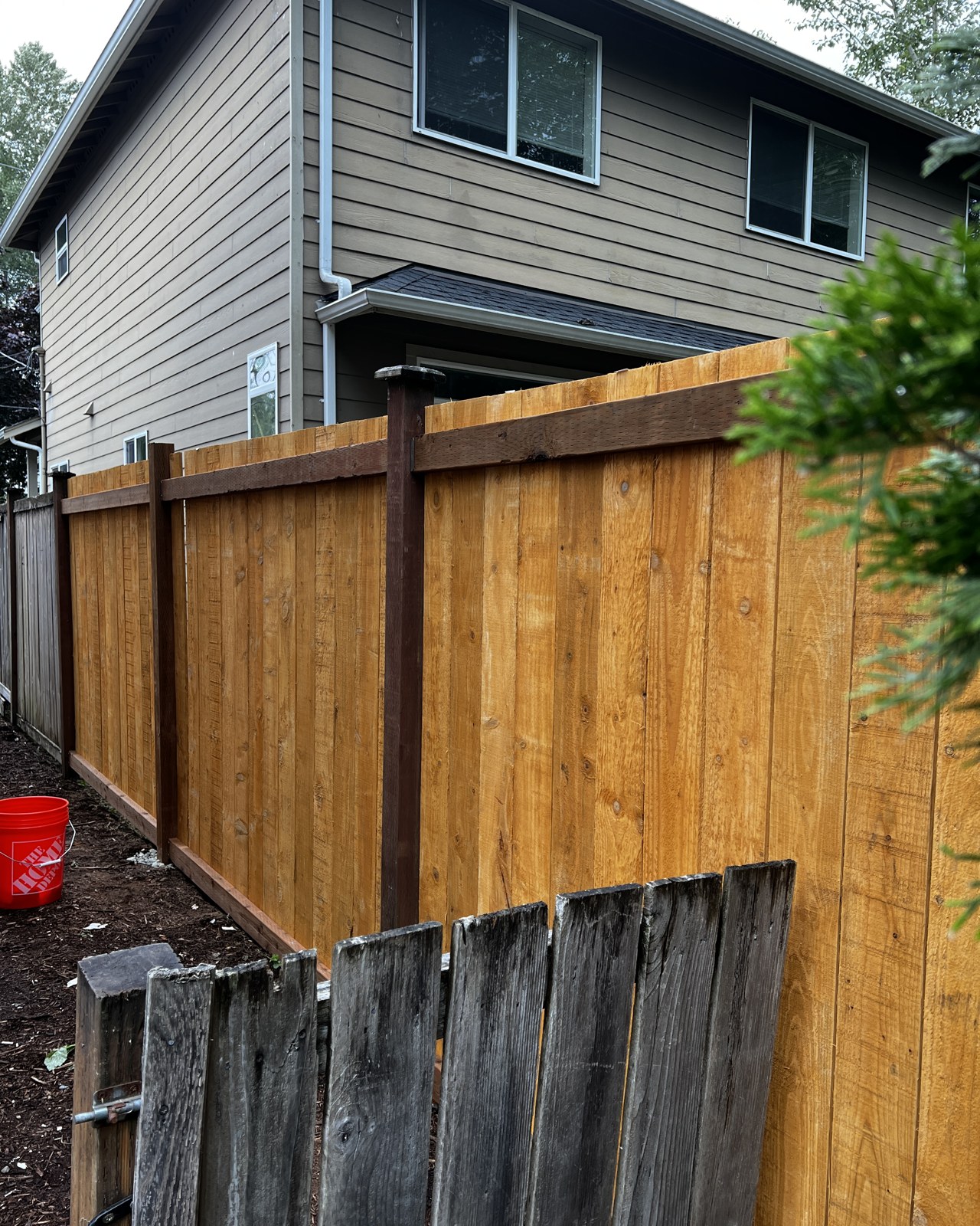 Freshly stained cedar fence at a Mill Creek home
