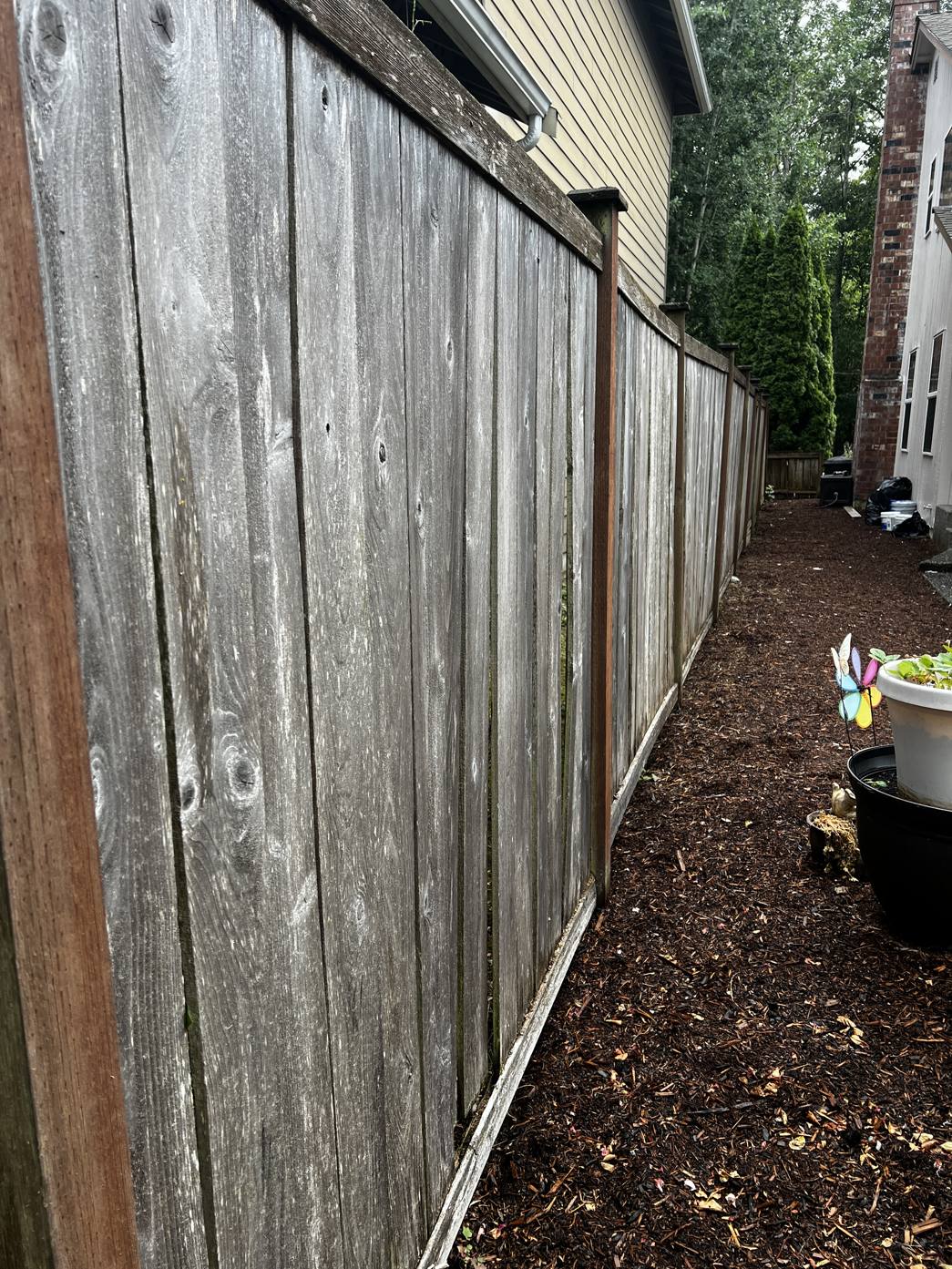 Gray, weathered side-yard fence in Mill Creek before staining