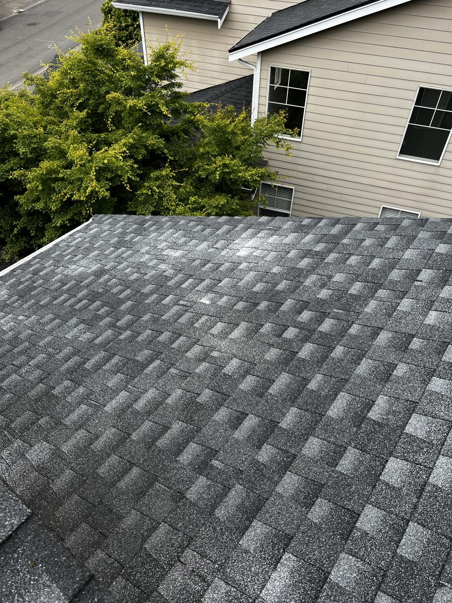 Another section of the same roof after soft washing