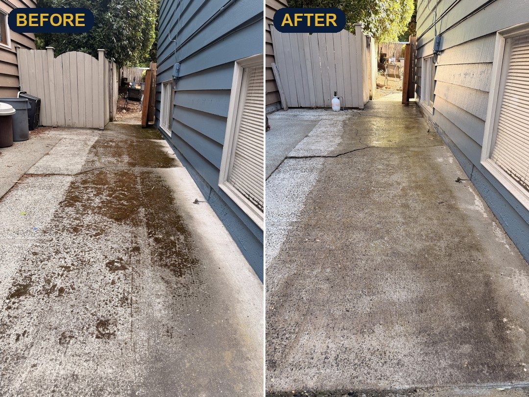 Shoreline side walkway before and after pressure washing, moss removed from the concrete