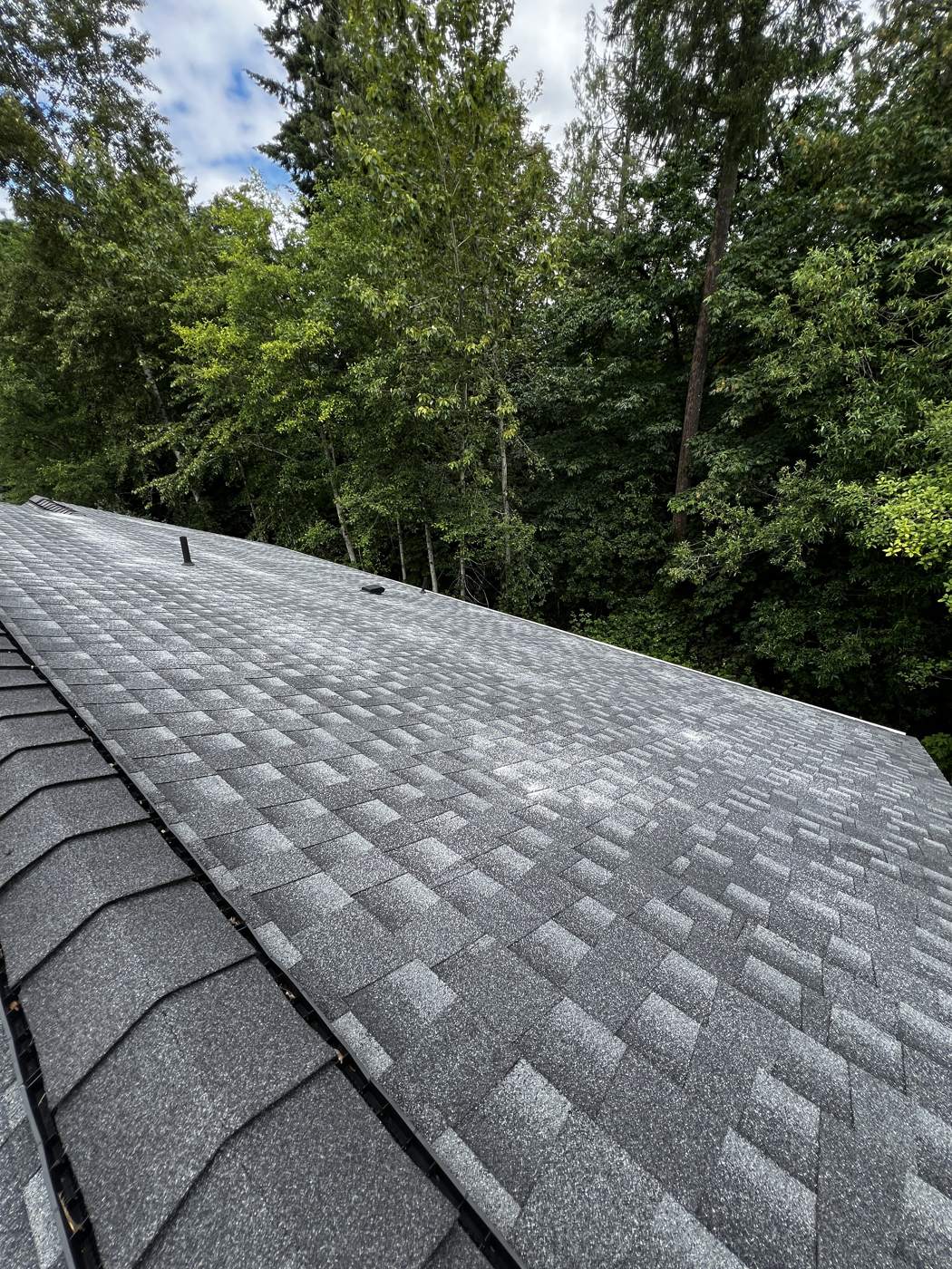 Shingle roof after a soft wash to remove moss