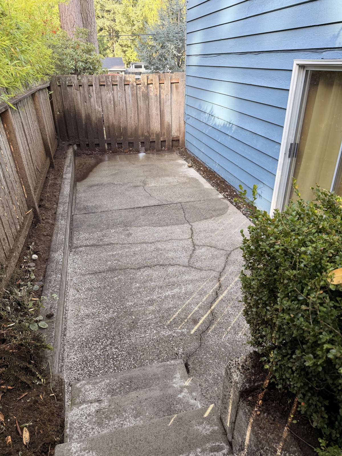 Back path and steps clean after pressure washing